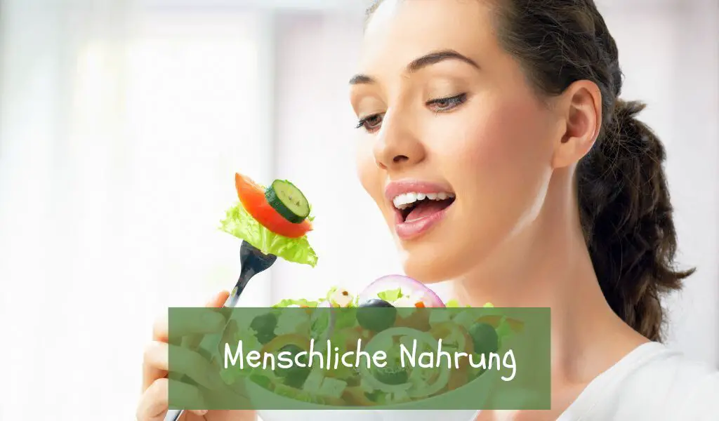 Menschliche Nahrung