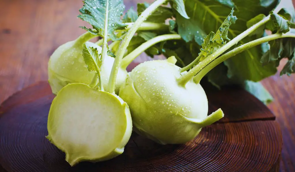 Dürfen Hunde Kohlrabi essen?